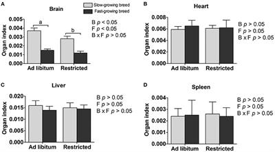 Domestication and Feed Restriction Programming Organ Index, Dopamine, and Hippocampal Transcriptome Profile in Chickens